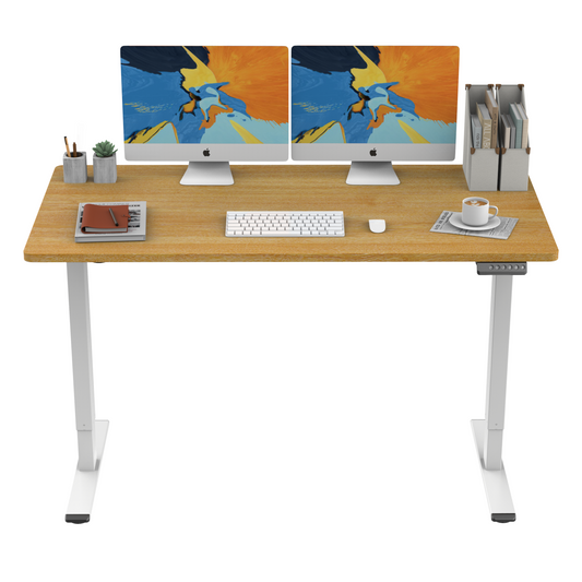 55" Electric Standing Desk