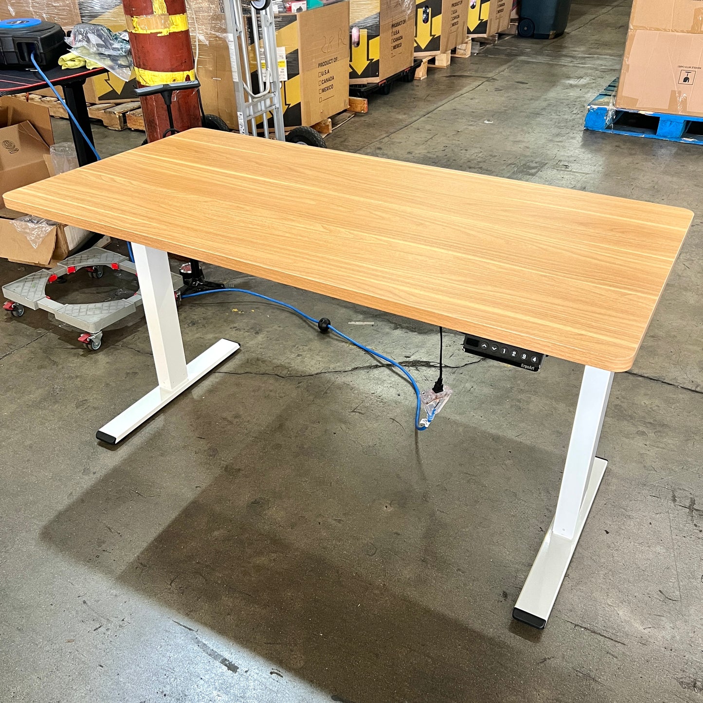 55" Electric Standing Desk