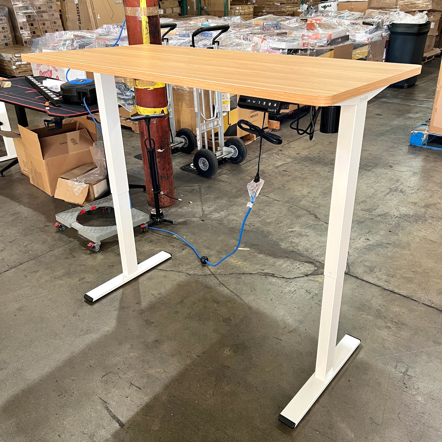 55" Electric Standing Desk