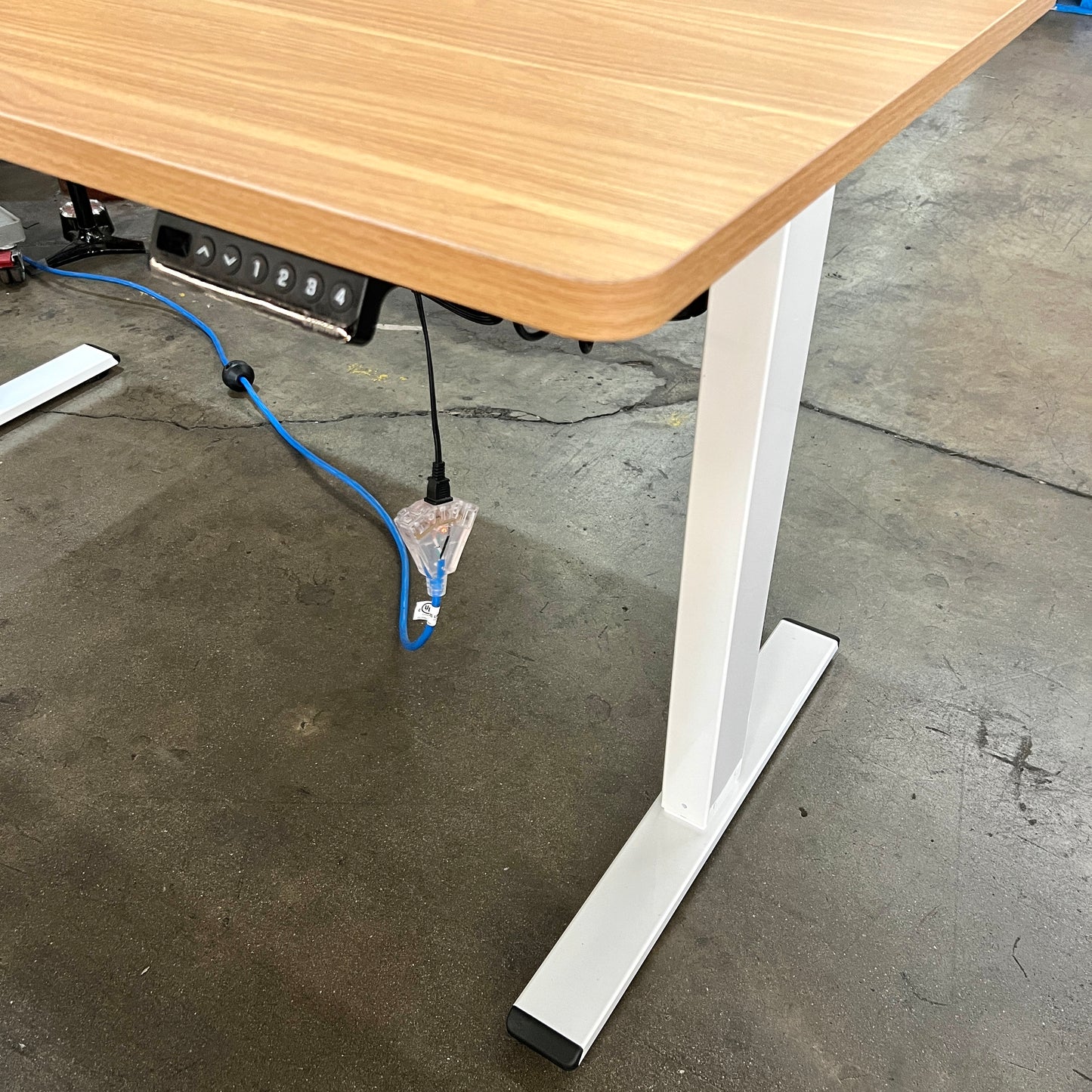 55" Electric Standing Desk