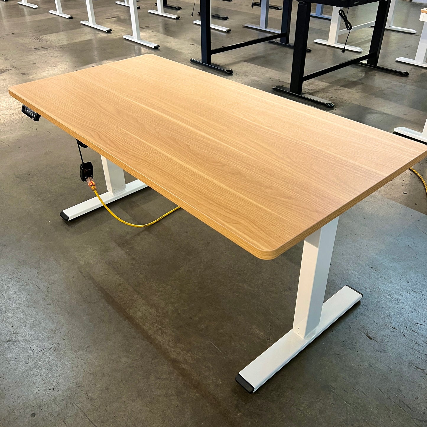 55"x28" Oak Color Electric Standing Desk (DUAL MOTOR)