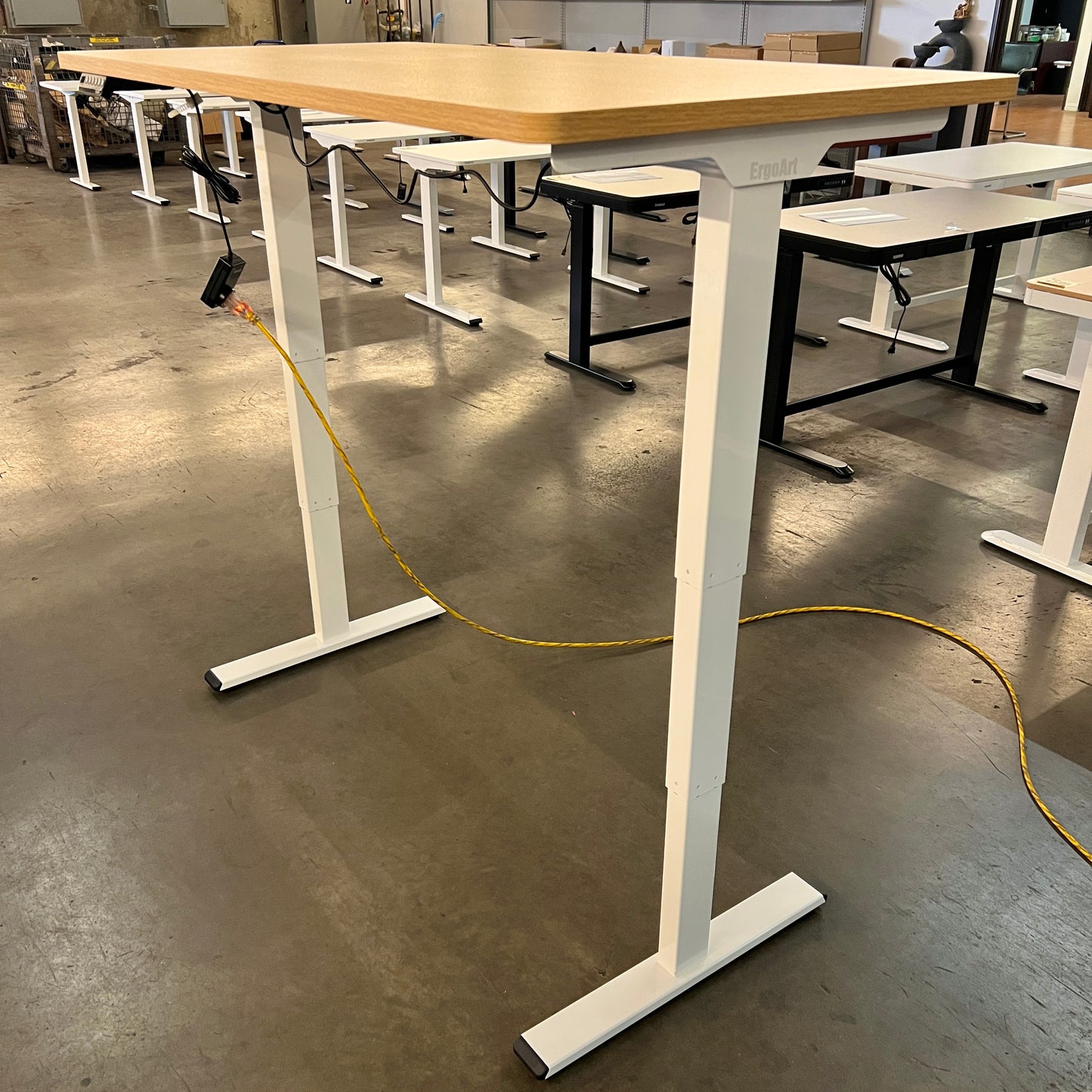 55"x28" Oak Color Electric Standing Desk (DUAL MOTOR)